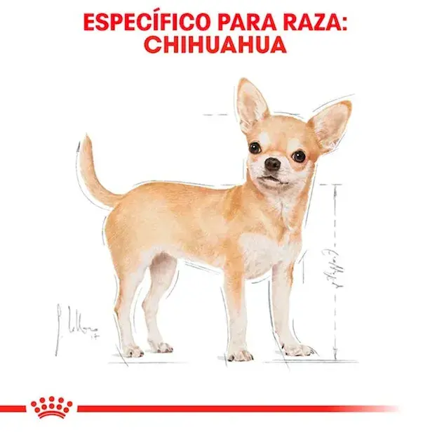 ROYAL CANIN PERRO ADULTO CHIHUAHUA 1.5KG Y 3KG - Imagen 4