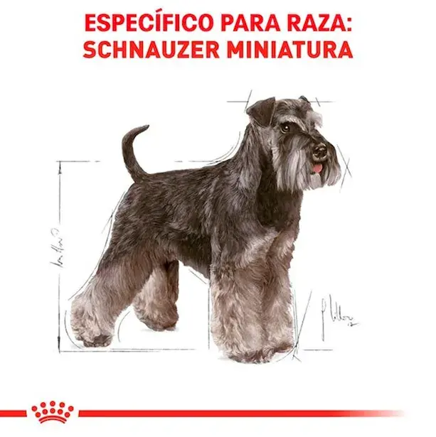 ROYAL CANIN ADULTO SCHNAUZER 3KG Y 7.5KG - Imagen 2