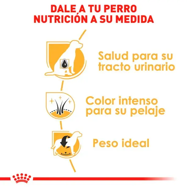 ROYAL CANIN ADULTO SCHNAUZER 3KG Y 7.5KG - Imagen 4