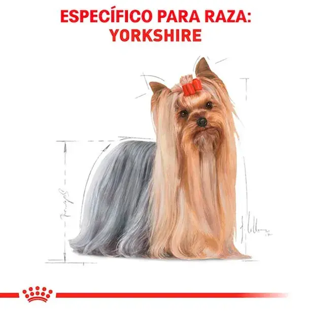ROYAL CANIN ADULTO YORKSHIRE 1.5KG, 3KG Y 7.5KG - Imagen 2